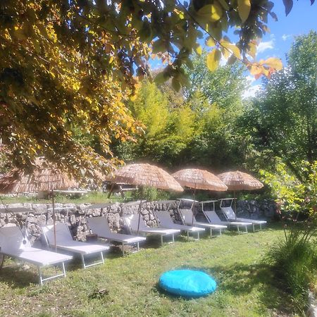 Domaine Des Petites Soeurs A 800M Du Centre Historique Avec 5200M2 De Parc Arbore Vence Εξωτερικό φωτογραφία