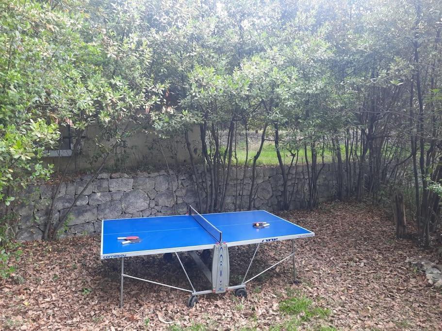 Domaine Des Petites Soeurs A 800M Du Centre Historique Avec 5200M2 De Parc Arbore Vence Εξωτερικό φωτογραφία