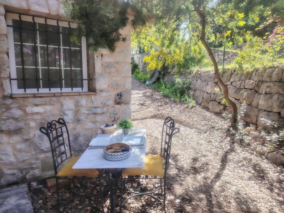 Domaine Des Petites Soeurs A 800M Du Centre Historique Avec 5200M2 De Parc Arbore Vence Εξωτερικό φωτογραφία