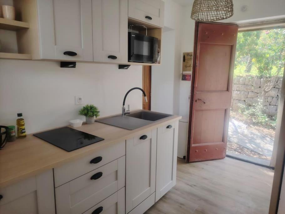Domaine Des Petites Soeurs A 800M Du Centre Historique Avec 5200M2 De Parc Arbore Vence Εξωτερικό φωτογραφία