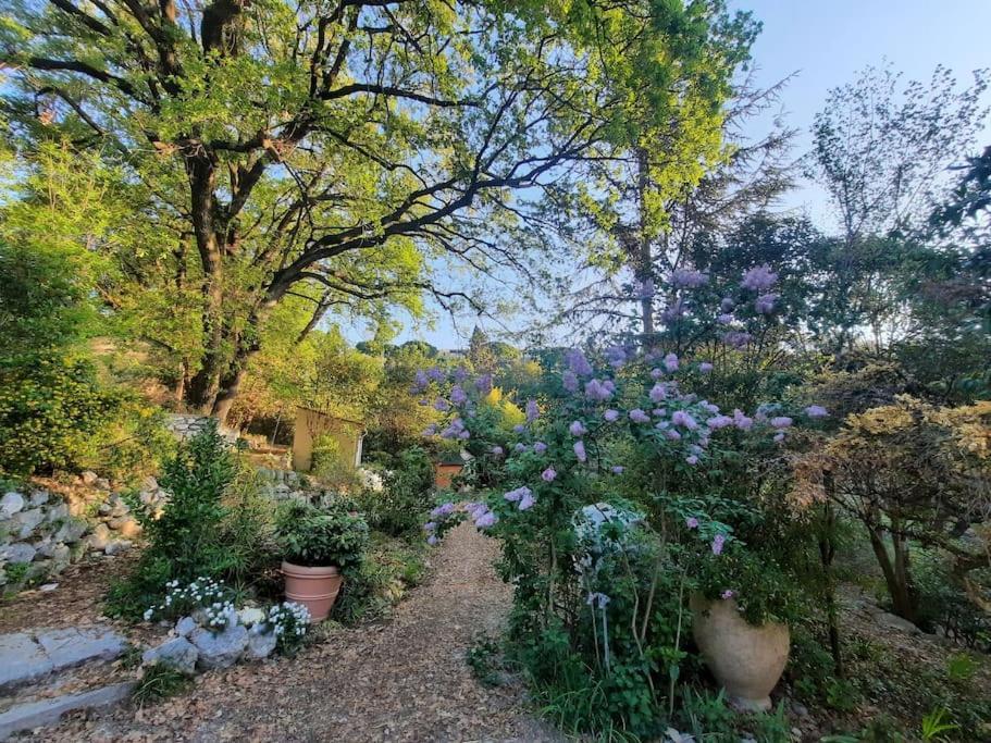 Domaine Des Petites Soeurs A 800M Du Centre Historique Avec 5200M2 De Parc Arbore Vence Εξωτερικό φωτογραφία