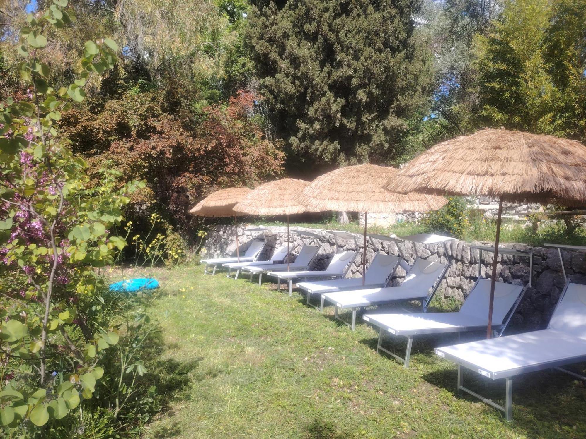Domaine Des Petites Soeurs A 800M Du Centre Historique Avec 5200M2 De Parc Arbore Vence Εξωτερικό φωτογραφία
